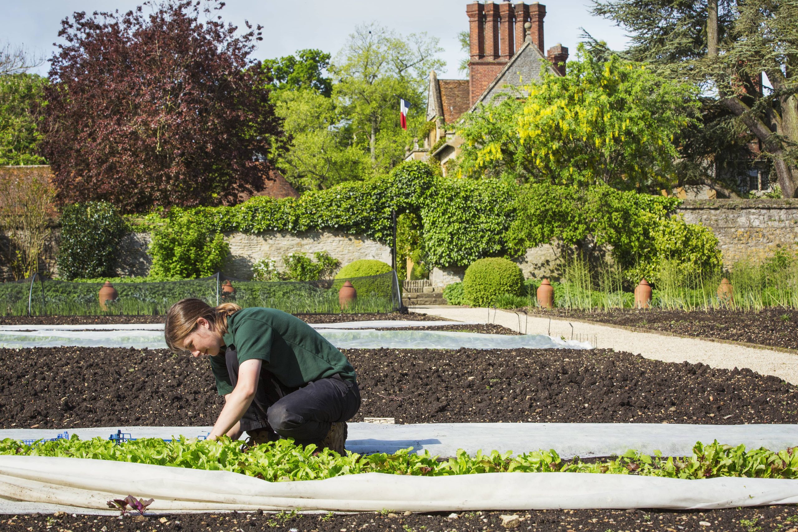 Leitfaden für Hochbeet-Gartenbau für Anfänger